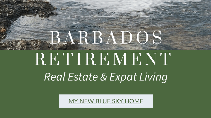 Barbados Retirement Blog Post - Rocks by the Shore.
